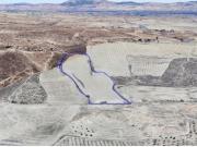 FINCA DE SECANO JUNTO AL ARENAL