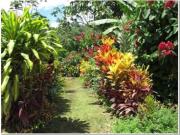 Finca de Venta en Puerto Quito