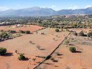 Finca edificable de 24.823 m2 en Búger con agua y luz