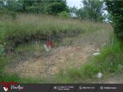 FINCA EDIFICABLE EN LA ZONA DE SAN JUSTO, VILLAVICIOSA