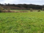 FINCA EDIFICABLE EN SANTIAGO