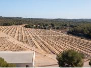 Finca El Espartal Propiedad Única de 460 Hectáreas con...