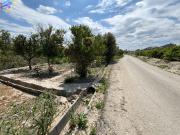 25 TAHULLAS EN ACHENA ZONA LOS INTES