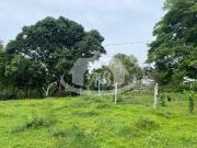 FINCA EN ARRIENDO VIA KM 12| 9211