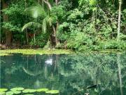 FINCA EN BONDA SANTA MARTA