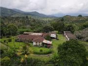 Finca en BuenaVista Quindio en venta