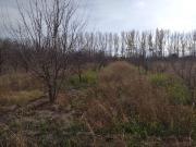 Finca en Calle C y 143