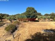 Finca en Casas de Belvis