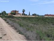 Finca en Crevillente