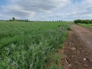 Finca en general alvear mendoza