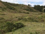 Finca en guarne Antioquia para parcelar, o producción...