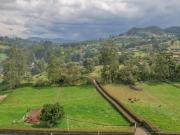 finca en llano grande de 33465 metros disponible para...