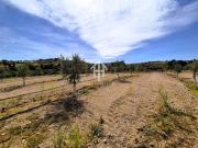 Finca en Moraleda – Olivar Malteño con Riego