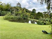 FINCA EN PARCELACION EN EL RETIRO