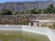 FINCA EN PRODUCCION CON CASA GÜIMAR