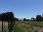 Finca en tunuyan la primavera