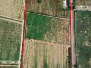 Finca en venta 3 de mayo, 4hectareas