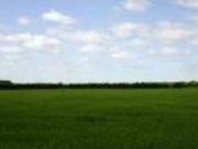 FINCA EN VENTA