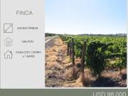 Finca en venta