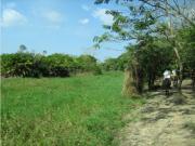 FINCA EN VENTA, ACHI, BOLIVAR