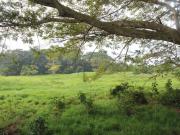 Finca en venta cerca del aeropuerto internacional de...