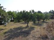 FINCA EN VENTA CON AGUA Y LUZ