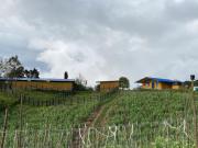 Finca En Venta En Alban En Vereda Garbazal V226990