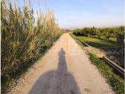 Finca en venta en Algemesí Valencia