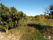 Finca en venta en Alzira Valencia