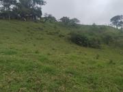 Finca En Venta En Anolaima V307961