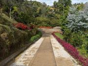 finca en venta en carmen viboral. Cod V13378