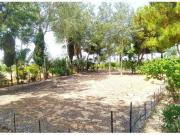 Finca en venta en Crevillente – Parcela de 8.700 m² y...