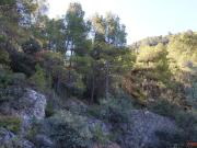Finca en venta en Fuentespalda Teruel