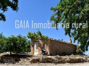 Finca en venta en Maella Zaragoza