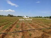Finca en Venta en Maracaibo OESTE Zulia 3000 m2
