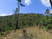 Finca en venta en Monesterio Badajoz