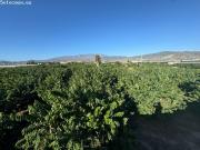 Finca en Venta en Motril, Granada