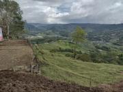 Finca En Venta En Pereira V95243