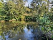 FINCA EN VENTA EN PRESA DEL REY, NARÓN