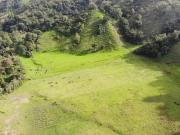 Finca En Venta En Salento V67851