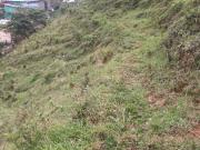 finca en venta en san cristóbal. Cod V57414