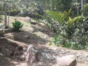 Finca En Venta En Sasaima V173134