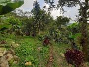 finca en venta en seleccionar barrio. Cod V27479