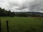 FINCA EN VENTA EN TABIO VEREDA RÍO FRÍO OCCIDENTAL...