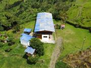 FINCA EN VENTA EN ULLOA/PEREIRA