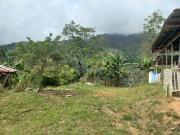 finca en venta en vereda coco hondo. Cod V7344535