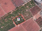 FINCA EN VENTA EN VILA REAL