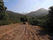 Finca en Venta en Vilches, Jaén