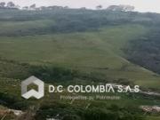 FINCA EN VENTA EN VILLAMARIA CALDAS