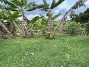 FINCA EN VENTA JARDIN MESENIA/PEREIRA